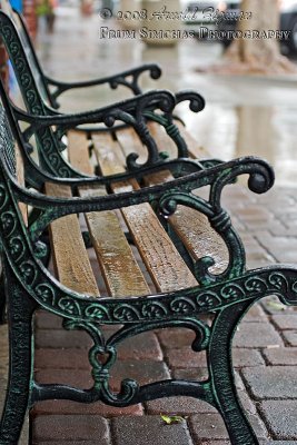 Not another lonely bench, in the rain