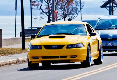 g4/87/628887/3/133244158.jJaDSj6M.jpg