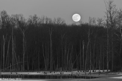 Moon over pond.jpg