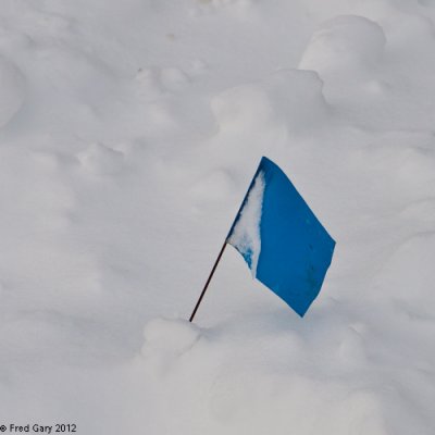 Blue Flag.jpg