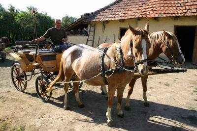 01_Zsujta Hungary09.JPG