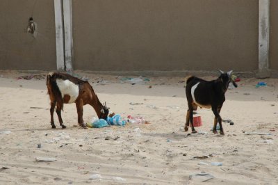 10_Mauritania_Nouadhibou096.JPG