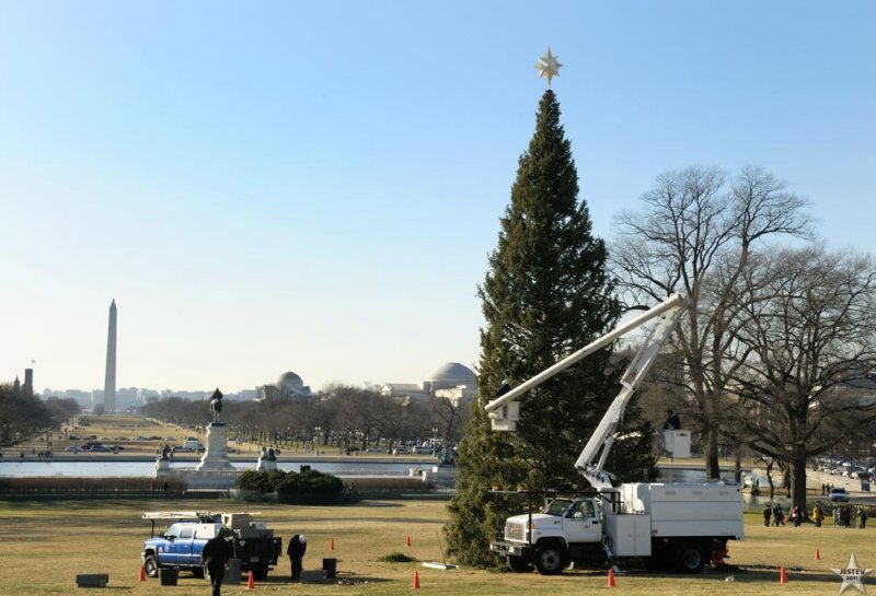 Tearing Down Christmas