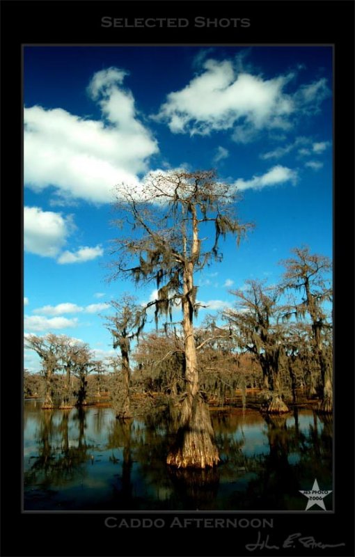 Caddo Afternoon