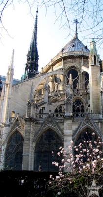 Back of Notre Dame II
