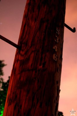 Telephone Pole 3/ 5346