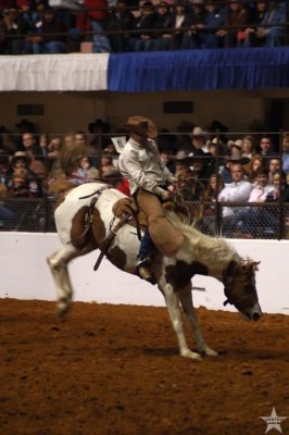 Stock Show 2008