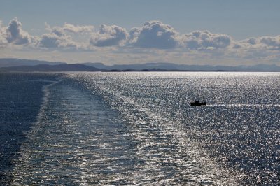 In the wake