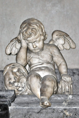 Amiens Cathedral