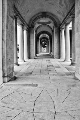 Arras