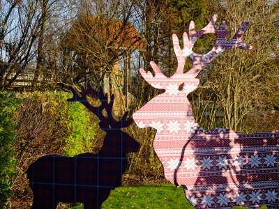 cardboard cut-out reindeer