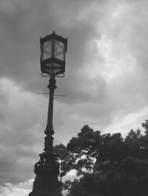 g4/87/664487/3/61027555.LamppostTreeandSky.jpg