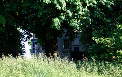 House in the Woods