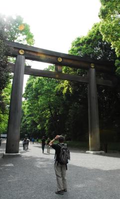 Torii at the Meiji Jengu Shrine