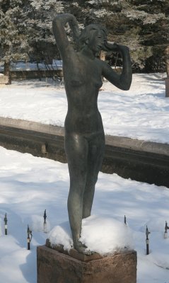 IMG_7081.jpg