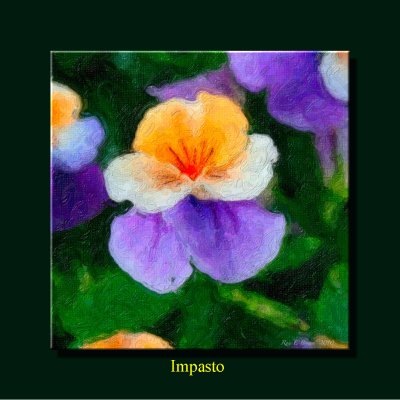 P295-Impasto.jpg
