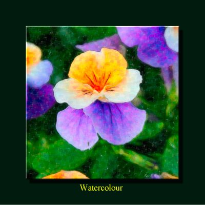 P300-Watercolor.jpg