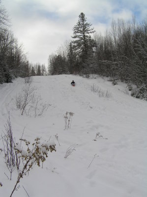 The steepest sledding hill in town...that's Dale.