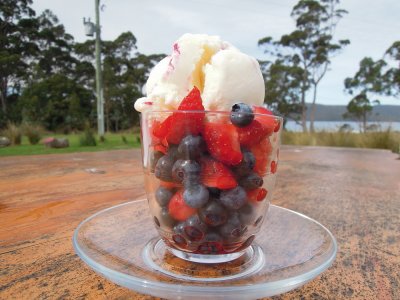 Fresh berries & ice-cream @ berry farm