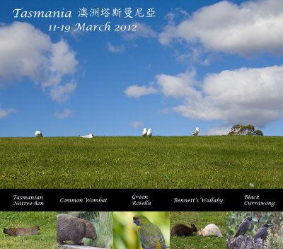 Tasmania Cover.jpg