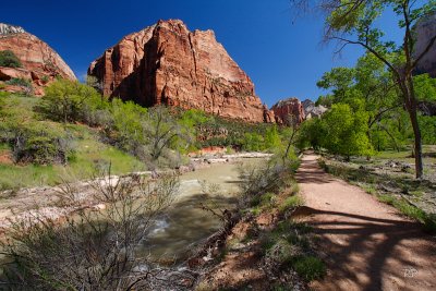 Virgin River 6