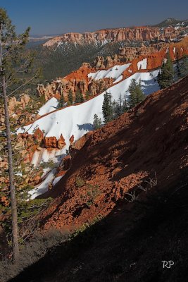 Canyon View 4
