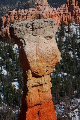 Canyon Closeup