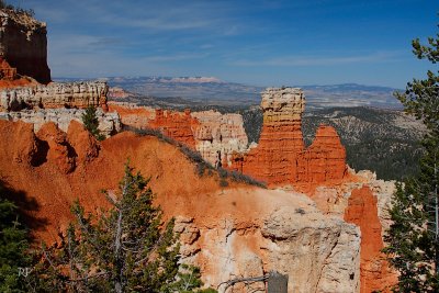 Canyon View 6