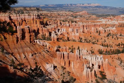 Canyon View 9