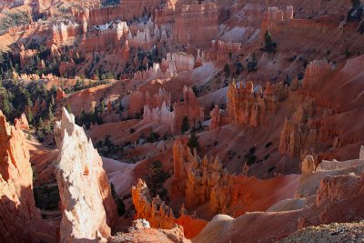 Canyon Closeup