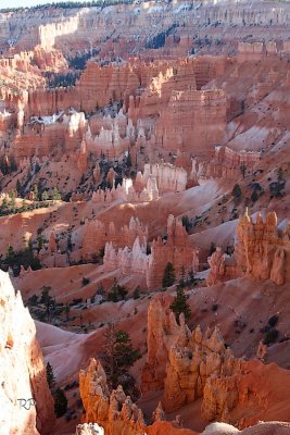 Canyon View 11