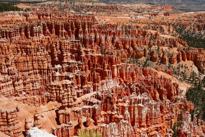 Canyon View 1