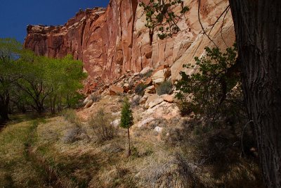 Capitol Reef 3