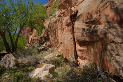 Capitol Reef 4