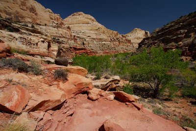 Capitol Reef 5
