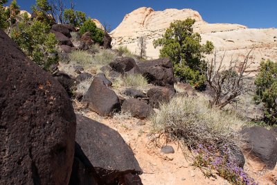 Capitol Reef 9