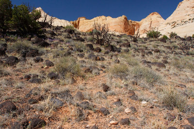 Capitol Reef 10