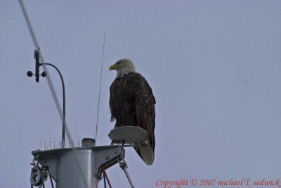 CRW_32726.jpg
