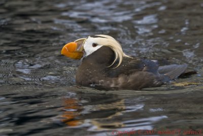 CRW_33061.jpg