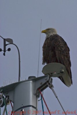 CRW_32733.jpg