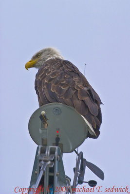CRW_32745.jpg