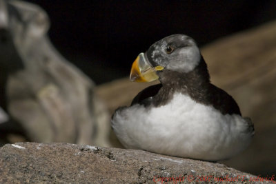 CRW_33031.jpg