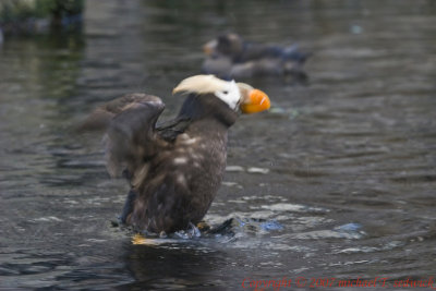 CRW_33053.jpg