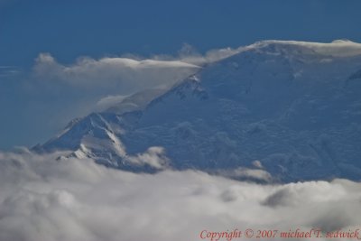 CRW_31029.jpg