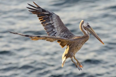 2011_10_01_03_05_09_NIKON-D700_28958_web.jpg