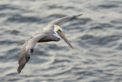 2011_10_01_03_10_05_NIKON-D700_29026_web.jpg