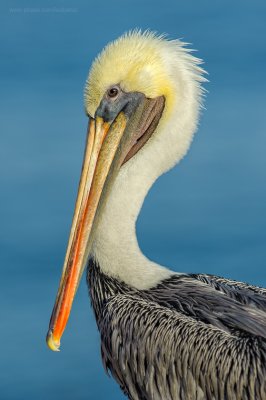 2011_10_02_17_09_48_NIKON-D700_29684_WEB.jpg