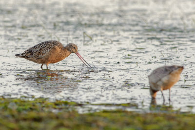 2011_09_30_03_18_49_NIKON D700_28480_web.jpg