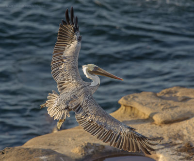 2011_10_01_02_55_32_NIKON D700_28843_web.jpg