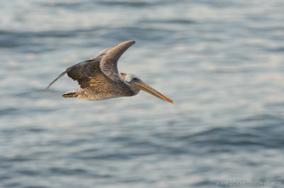 2011_10_01_03_10_57_NIKON D700_29051_WEB.jpg
